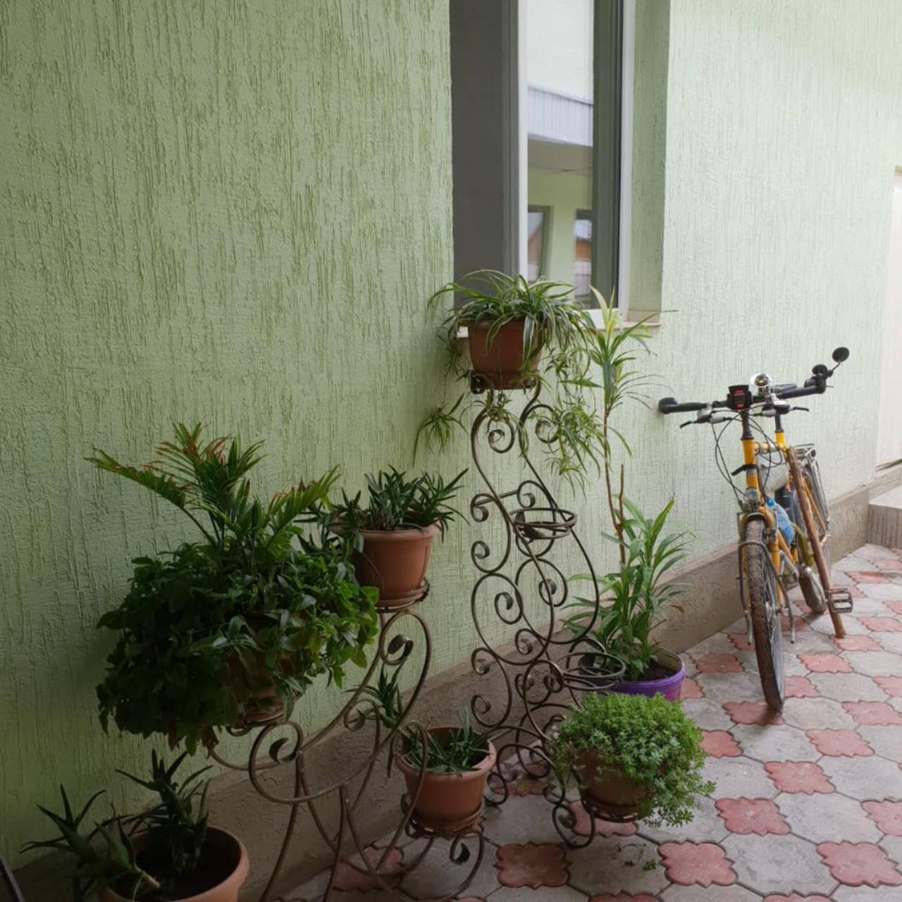 Datka Guest House Naryn Екстериор снимка